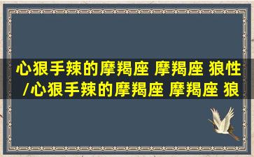 心狠手辣的摩羯座 摩羯座 狼性/心狠手辣的摩羯座 摩羯座 狼性-我的网站